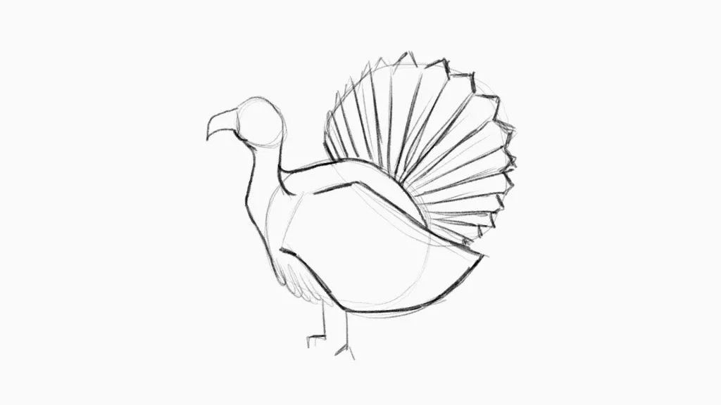 How to Draw a Turkey